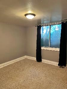 2 Bedrooms -Attention Students - Walk or bike to Carleton U - Photo 12