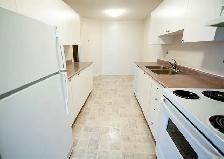 Victoria Park Towers - Wellington Apartment for Rent - Photo 8