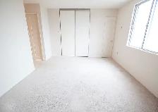 Victoria Park Towers - Wellington Apartment for Rent - Photo 11