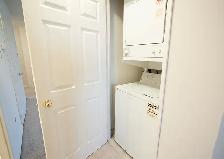 Victoria Park Towers - Wellington Apartment for Rent - Photo 13