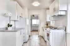 Beautiful  1-Bedroom - metro Cote-Vertu Apartment for Rent - 115 - Photo 4