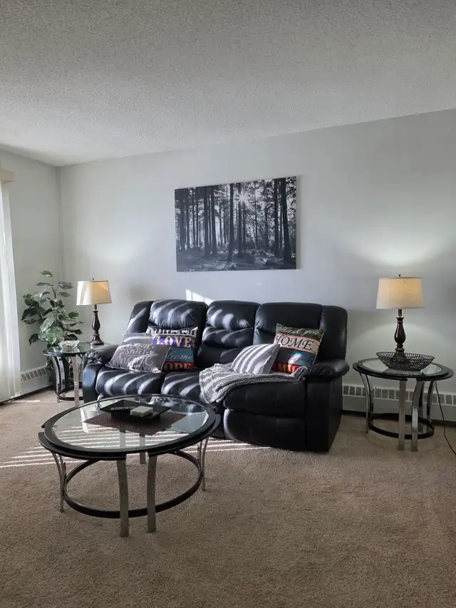 1 Bed / 1 Bath Fully Furnished Townhomes – 2 Units Coming Soon!