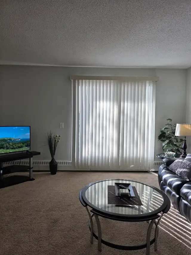 1 Bed / 1 Bath Fully Furnished Townhomes – 2 Units Coming Soon! - Photo 2