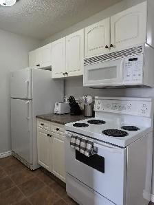1 Bed / 1 Bath Fully Furnished Townhomes – 2 Units Coming Soon! - Photo 5
