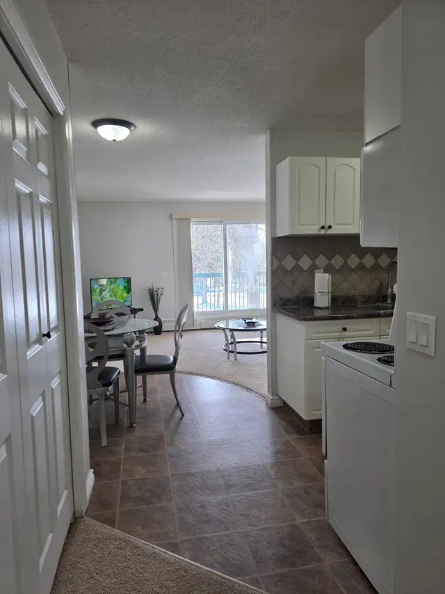 1 Bed / 1 Bath Fully Furnished Townhomes – 2 Units Coming Soon! - Photo 7