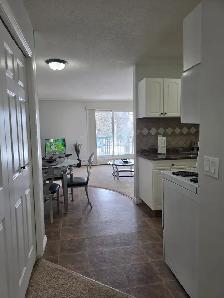 1 Bed / 1 Bath Fully Furnished Townhomes – 2 Units Coming Soon! - Photo 7