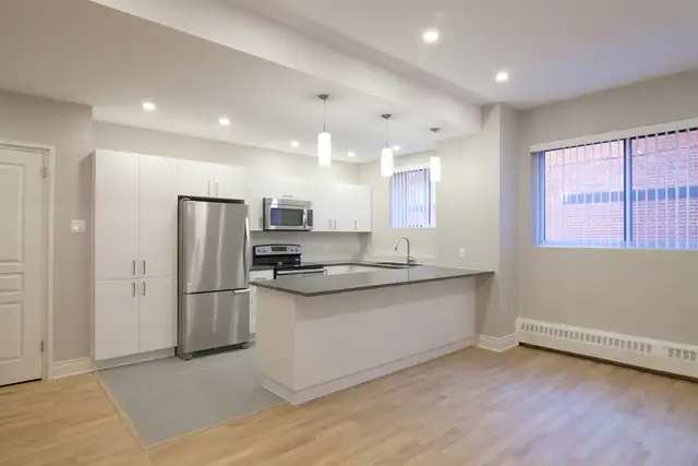 Downtown renovated semi-basement 2-bedroom apartment - ID 44