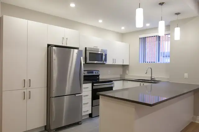 Downtown renovated semi-basement 2-bedroom apartment - ID 44 - Photo 2