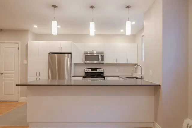 Downtown renovated semi-basement 2-bedroom apartment - ID 44 - Photo 3