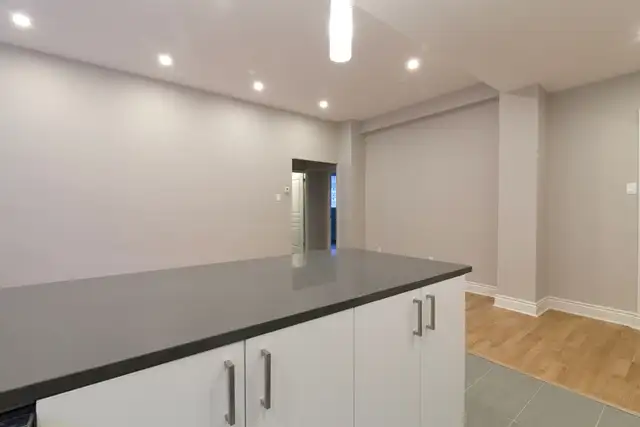 Downtown renovated semi-basement 2-bedroom apartment - ID 44 - Photo 4