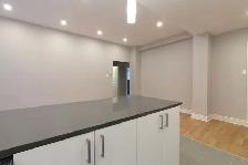 Downtown renovated semi-basement 2-bedroom apartment - ID 44 - Photo 4
