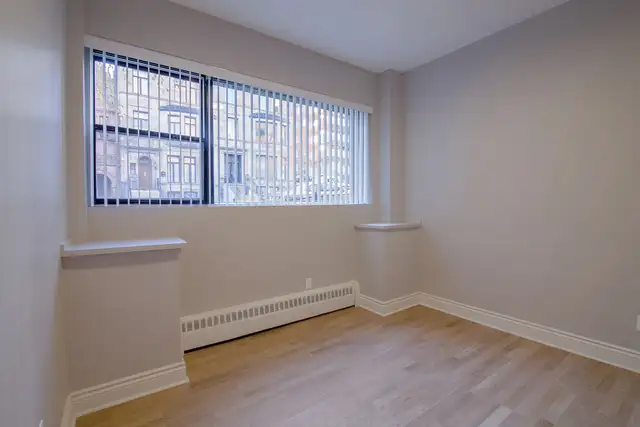 Downtown renovated semi-basement 2-bedroom apartment - ID 44 - Photo 8