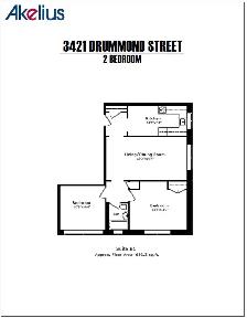Downtown renovated semi-basement 2-bedroom apartment - ID 44 - Photo 12
