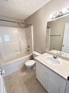 117 Campbell Crescent - Photo 12