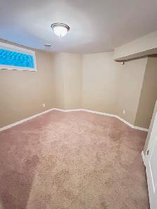 117 Campbell Crescent - Photo 15