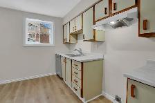 880 Bd de la Cité-des-Jeunes - 880-1 Apartment for Rent - Photo 4