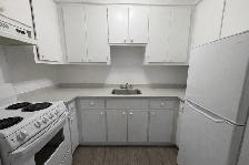 25 Rue Chouinard - 25-102 Apartment for Rent - Photo 2