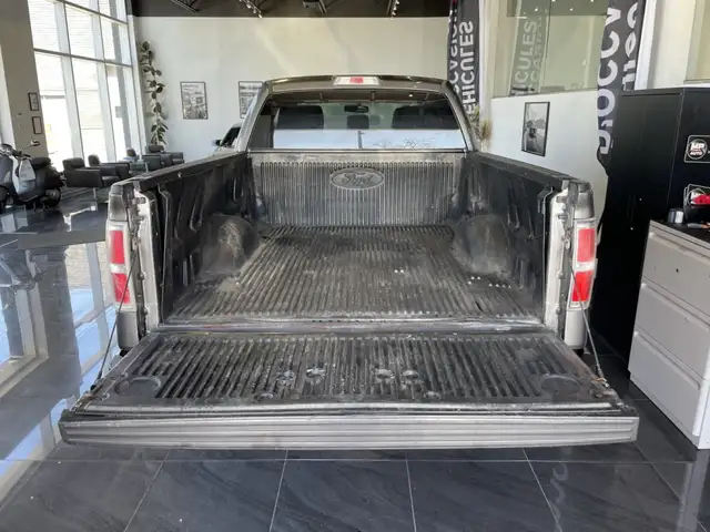 2013 Ford F-150 XL/STX/XLT/FX4/Lariat - Photo 8