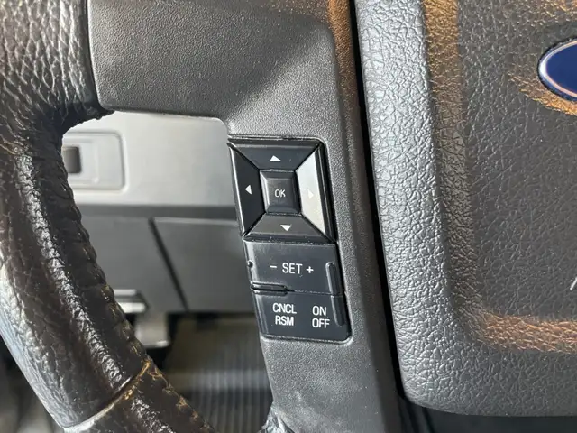 2013 Ford F-150 XL/STX/XLT/FX4/Lariat - Photo 18