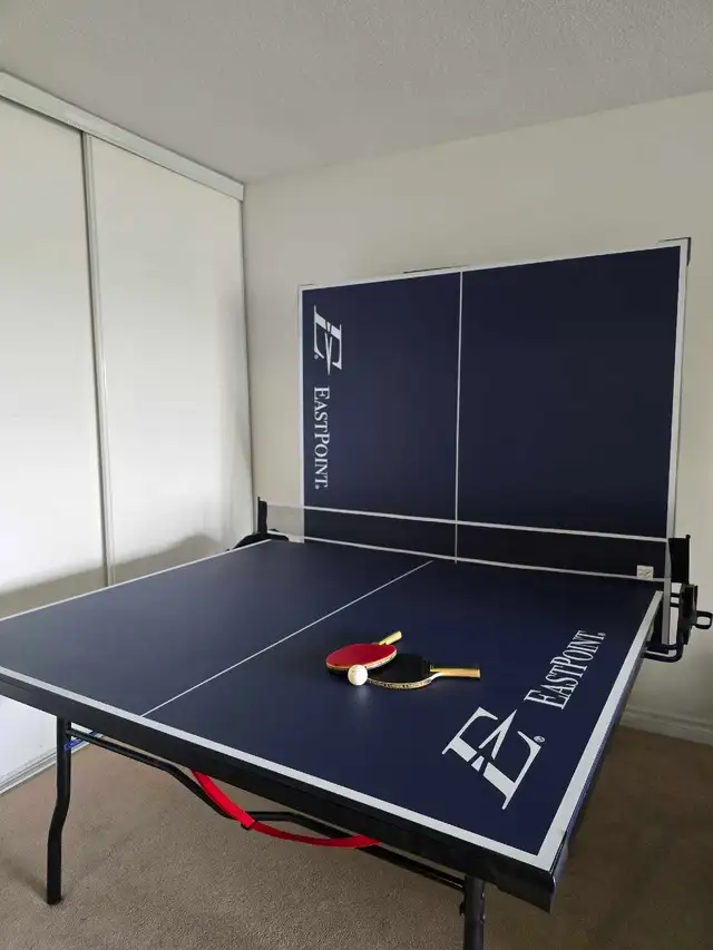 Ping Pong Table