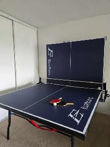 Ping Pong Table