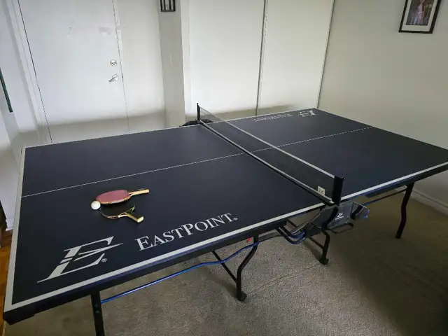 Ping Pong Table - Photo 3