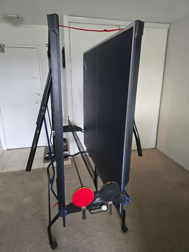 ping pong table - Photo 5