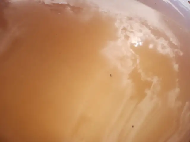 2005 Dodge Neon - Photo 29