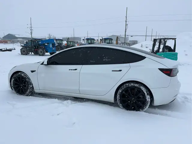 2021 Tesla Model 3 - Photo 7