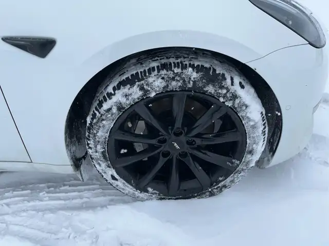 2021 Tesla Model 3 - Photo 10