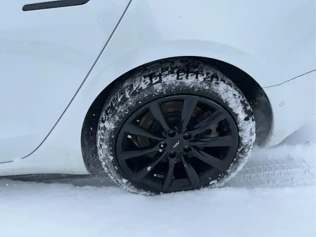 2021 Tesla Model 3 - Photo 12