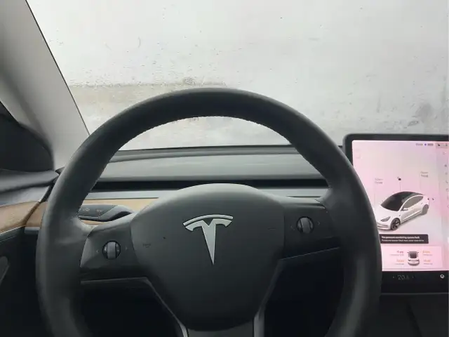 2021 Tesla Model 3 - Photo 19