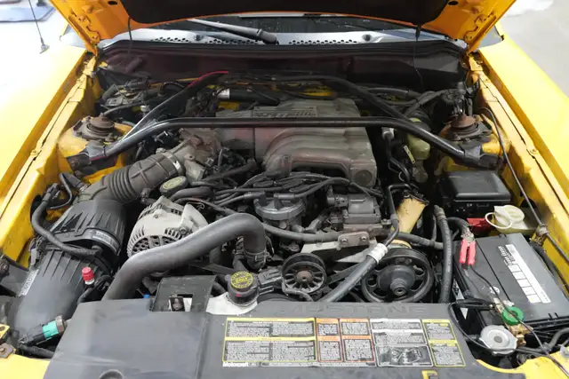 1995 Ford Mustang - Photo 6