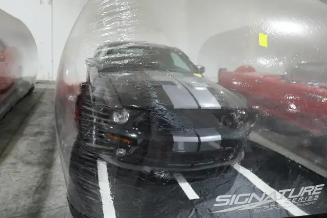 2007 Ford Shelby GT500