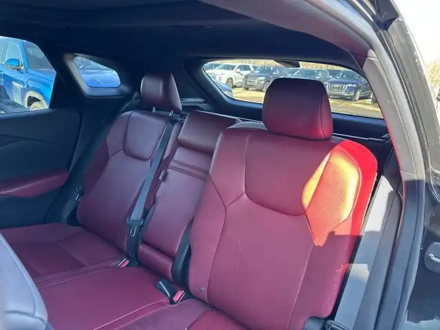 2023 Lexus RX RX 500h - Photo 6