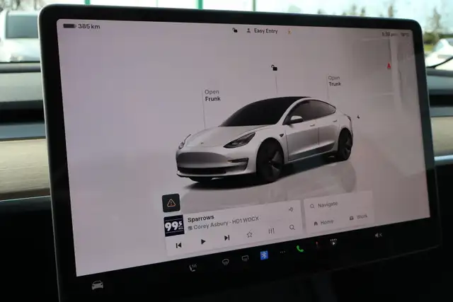 2023 TESLA MODEL 3 - Photo 16