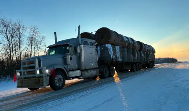 Hay , Straw and Trucking