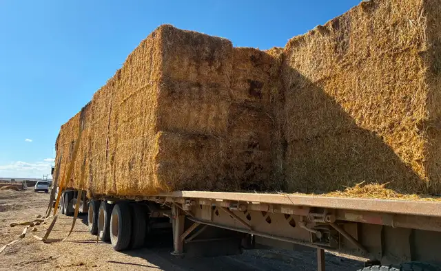 Hay , Straw and Trucking - Photo 2