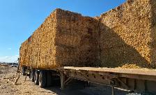 Hay , Straw and Trucking - Photo 2