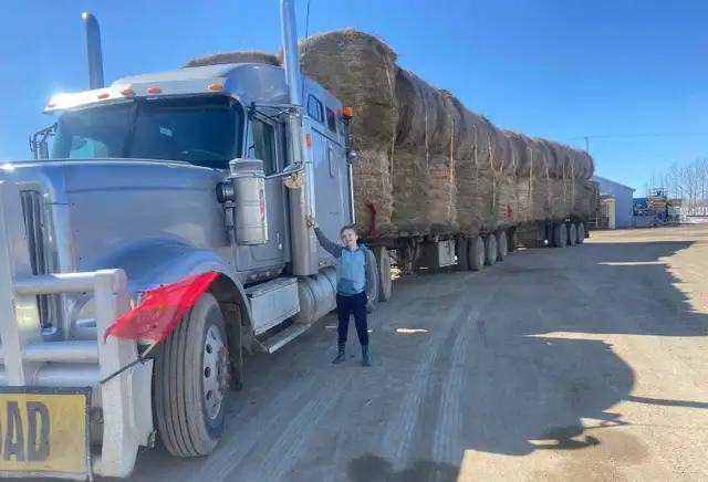 Hay , Straw and Trucking - Photo 4