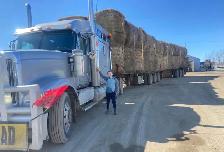 Hay , Straw and Trucking - Photo 4