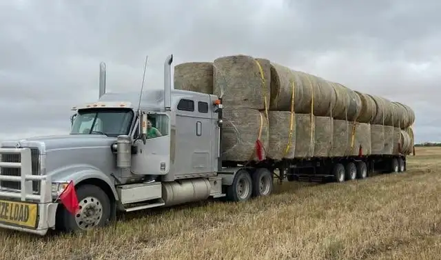 Hay , Straw and Trucking - Photo 5