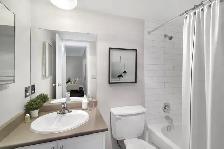 Queen Anne Apartments - 2 Bedroom available at 12184 - 224 Stree - Photo 11