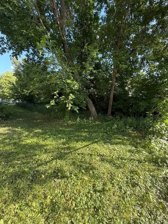 VL in Point Douglas! Great Opportunity for Builders/Investors!