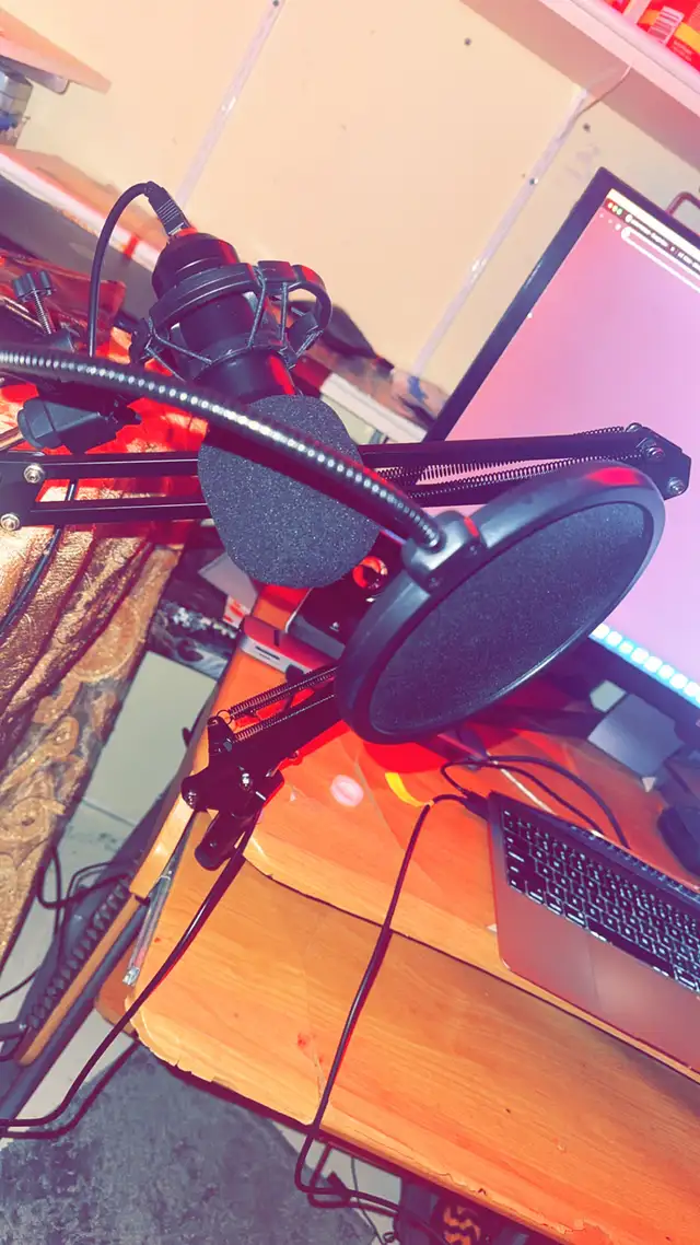 Professional Microphone Desk Kit