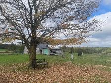 ROOM AVAILABLE ON HORSE HOBBY FARM - Photo 3
