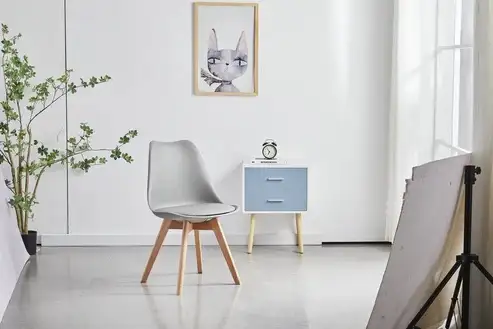 Brand New Elegant & Colorful Dining Chair Selling at $49 - Photo 10