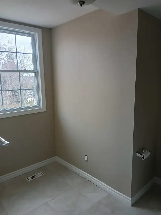 Painter/ Taper - Photo 6