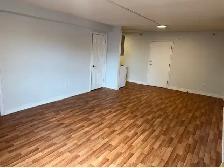 Large bachelor apt. May 1,$ $1475 all inclusive, Green St South