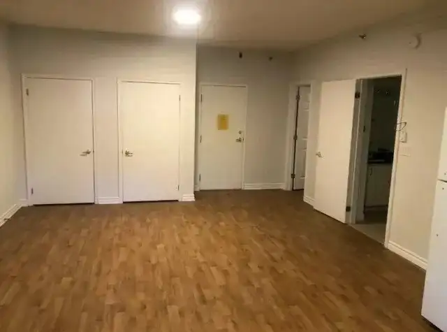 Large bachelor apt. May 1,$ $1475 all inclusive, Green St South - Photo 4